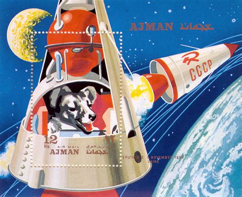 Hace 60 Años La Unión Soviética Puso En órbita A La Perrita Laika N