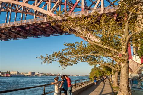 The Curbed Cup 2017 Winner Is Astoria Curbed Ny
