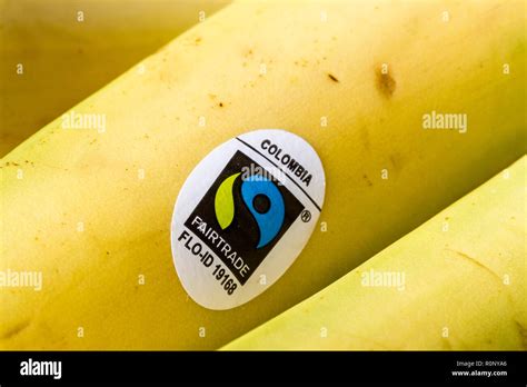 Fairtrade Sticker Label On Columbian Bananas Closeup Stock Photo Alamy