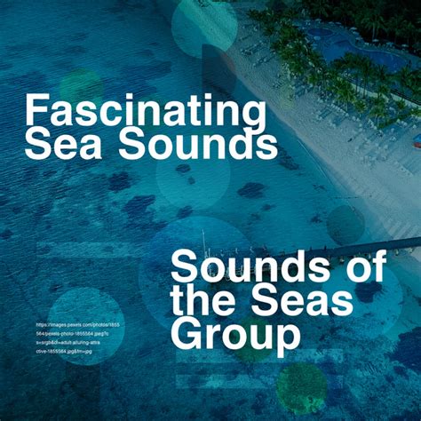 Winds Oceans Peace Song And Lyrics By Sounds Of The Seas Group