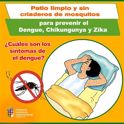 ¿cuáles Son Los Síntomas De Dengue Ejutv