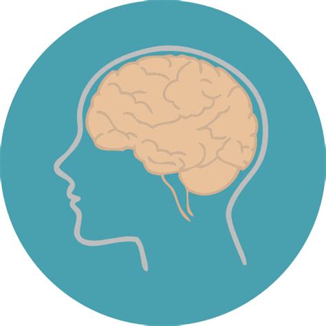 Cerebro Iconos Gratis De Personas