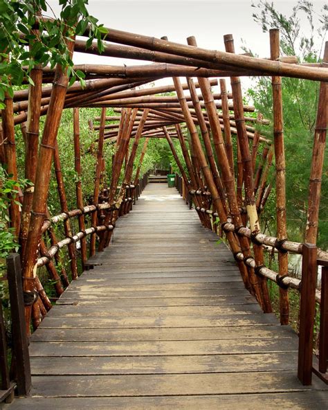 Bamboo Bridge Fotografi Hutan Bambu