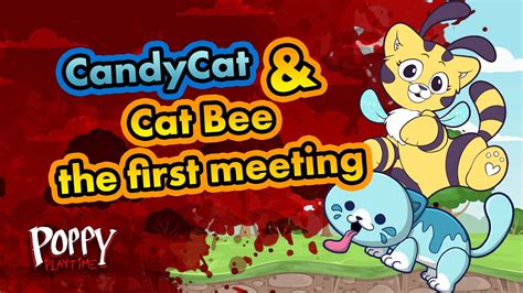 Candy Cat And Cat Bee The First Meeting Poppy Playtime Animation Youtube
