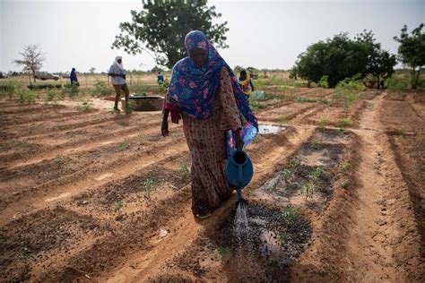 Niger Causes Rains To Ward Off Specter Of Drought Archyde