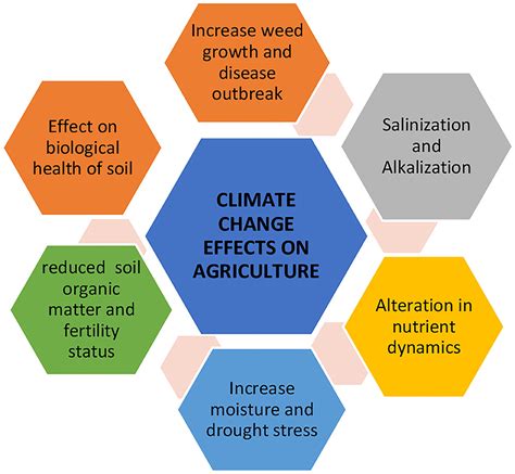 The Water Cycle How Nutrients Move And Impact Ecosystems