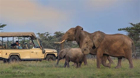 Special Offersgrand Kenya Safari