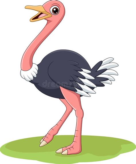 Cute Ostrich Cartoon Running Stock Vector Illustration Of Kiddish