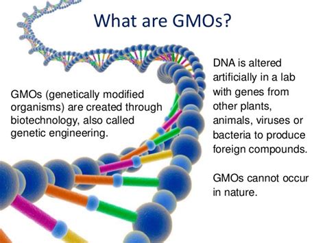 Promoter) as well as the gene that is to be transcribed. ISO 22000 Resource Center: Food Safety of Genetically Modified Foods