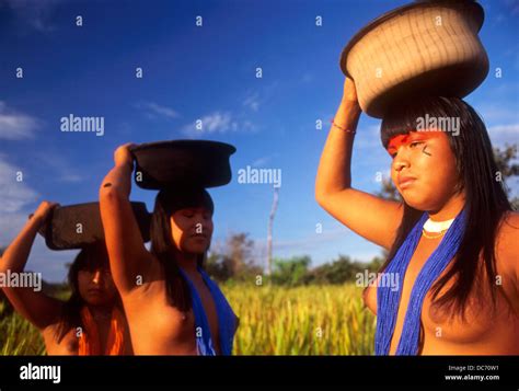 Mehinako Indígenas Xingu Selva Amazónica Brasil Fotografía De Stock