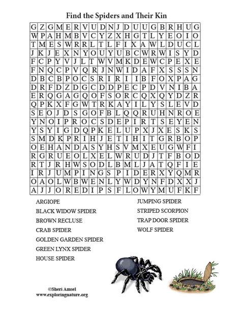 Spiders And Their Kin Word Search Adults