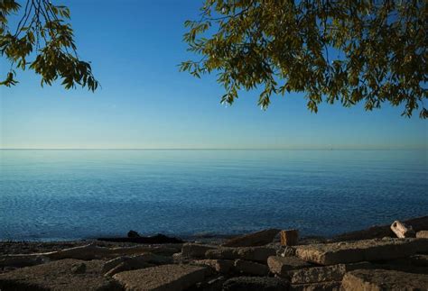 Hồ Ontario Câu cá Kích thước Độ sâu và hơn thế nữa Cá cảnh mini