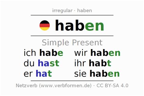 Present German Haben All Forms Of Verb Rules Examples Netzverb