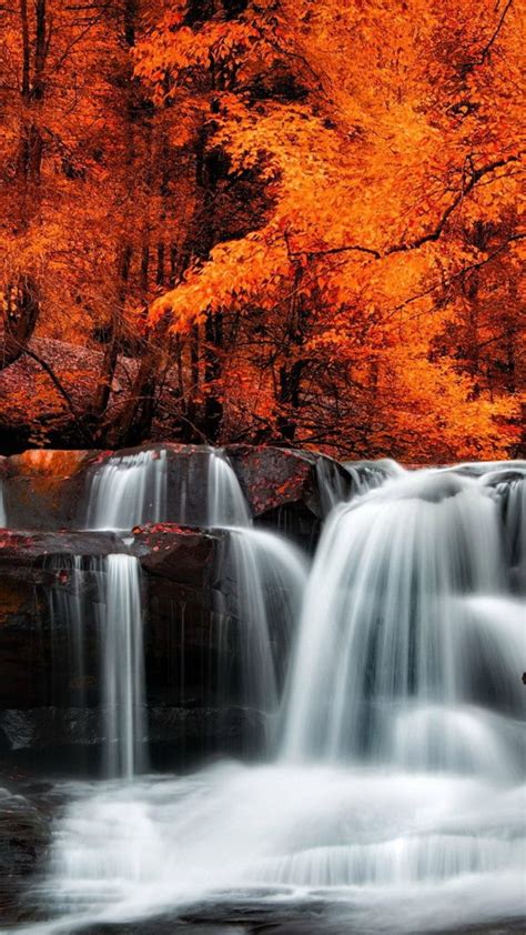 Beautiful Waterfall Stream On Rocks Surrounded By Red Yellow Autumn