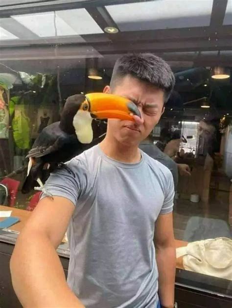 30 Extremely Funny Times Birds Were Caught Being Jerks