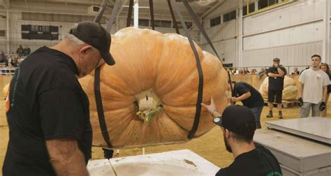 Oh My Gourd Mass Mans Gigantic Pumpkin Breaks Topsfield Fair Record