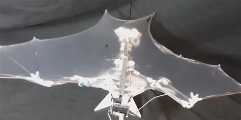 Researchers Develop A Bat Bot Thats The Holy Grail Of Aerial