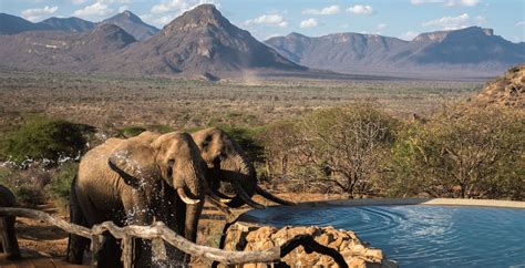African Safari Destinations Luxury Bespoke Travel