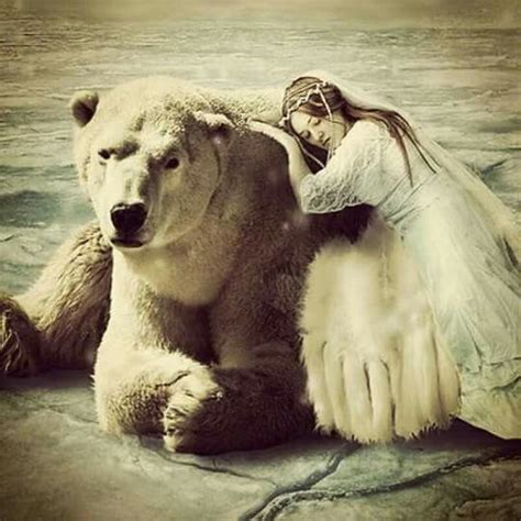The Bear And His Fairy Princess Bear Art Bear Polar Bear