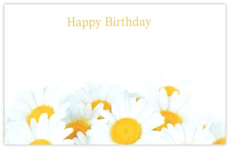 Happy Birthday Daisies 60mm X 90mm Florist Cards Celloexpress