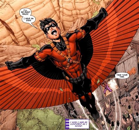 Red Robins Glider Cape Dc Comics Database