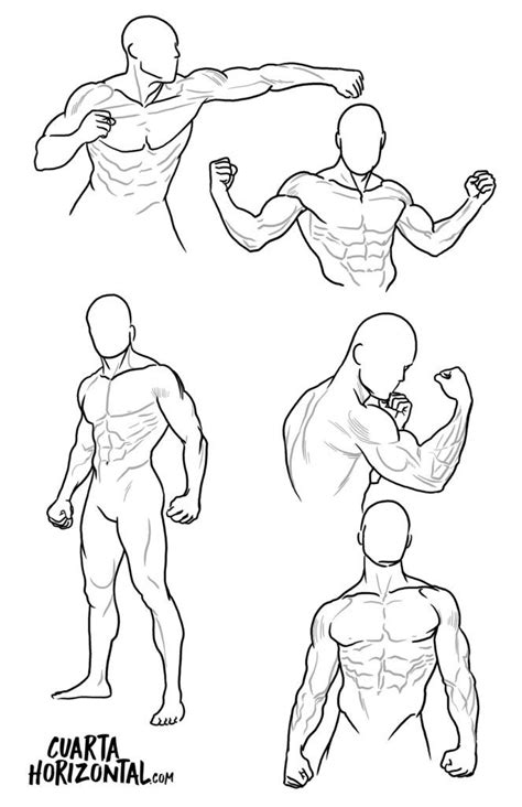 Referencia Anatomía Masculina 1 Dibujo Anatomia Humana Dibujo