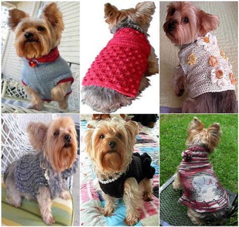 Crochet Dog Sweaters Free Crochet Patterns And Video Tutorials