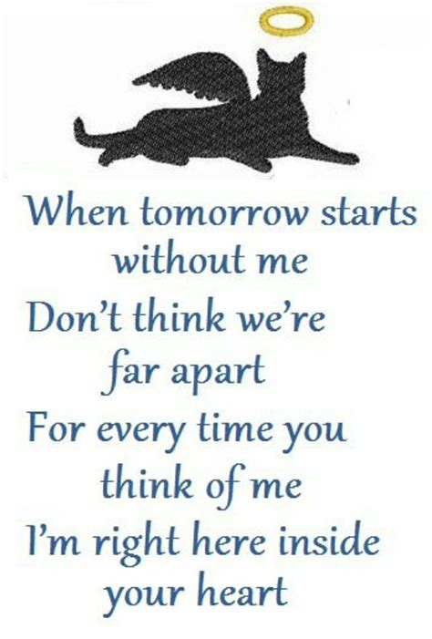 In memory of buddy (final goodbyes at the end). Cat grieving | Pet poems, Pet quotes cat, Cat quotes