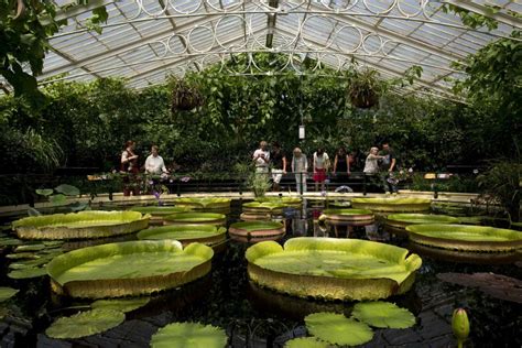 Feel free to spend some time on this site! Kew Gardens Tour - Botanical Gardens with a ...