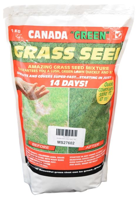 Canada Green Grass Seed 1kg Uk Garden And Outdoors
