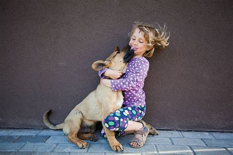620 Girl Blows Dog Stock Photos Pictures And Royalty Free Images Istock