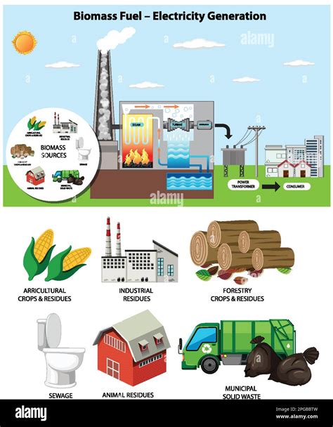 Biomass Fuel Electricity Generation Diagram Illustration Stock Vector