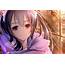 Anime Girls Yazawa Nico Love Live Wallpapers HD / Desktop And 