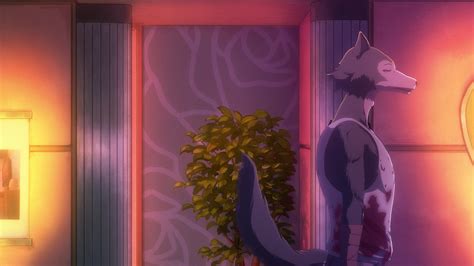 Beastars 11 28 Lost In Anime