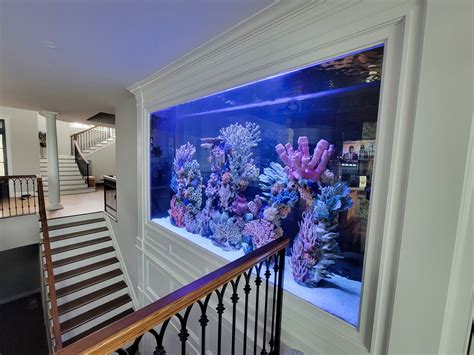 Custom Luxury Fish Tanks And Aquariums Gallery Photos Ny Nj Pa