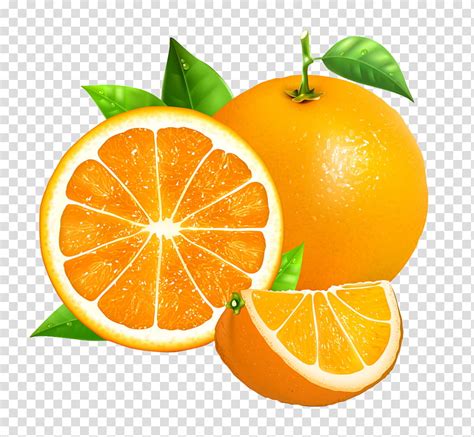 Orange sticker on blue background colorful fruit vector. Fruit The Red Summer Red Velvet, two orange fruits ...