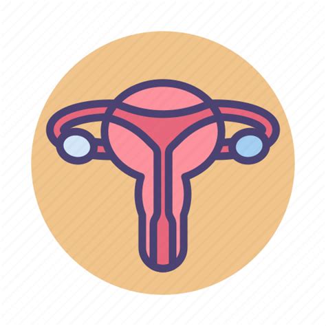 Female Female Reproductive Organ Organ Reproductive Vagina Icon