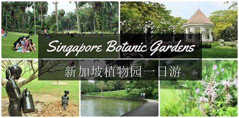 It is big, well maintained, beautiful and a green santuary in the. Singapore Botanic Gardens - 1step1footprint