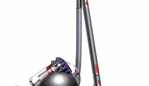 Dyson Big Ball Animal 2+ Cylinder Vacuum Cleaner - Gerald Giles