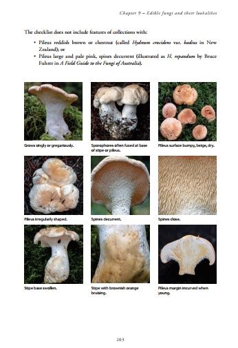 Book Review Wild Mushrooming A Guide For Foragers Nature Books