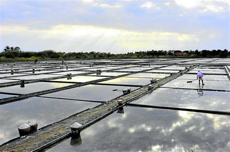 Pangasinan Salt Farmers Feel Pinch Of Ailing Industry Inquirer News