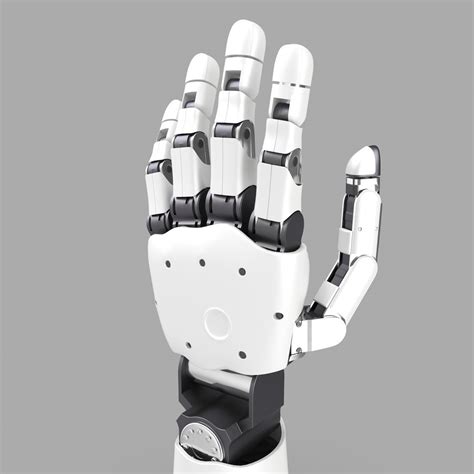 3d Modular Prosthetic Limb Model