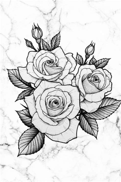 Black Roses Wallpaper In 2022 Rose Outline Drawing Flower Drawing