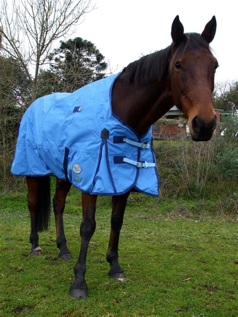 Whilst it took a little longer to arrive than i hoped, it is absolutely beautiful. Horse Rug & Tack Review: Macs Equine "Cool Heat" Rug Review