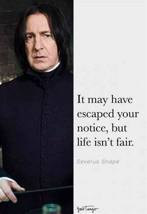15 Of The Best Snape Quotes From Harry Potter Harry Potter Book