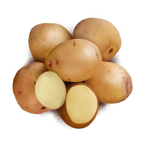 Potatoes Background Png Image Png Play