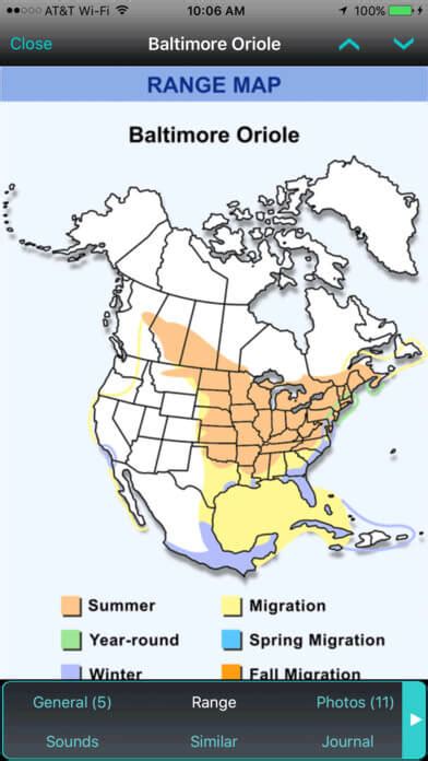 Baltimore Oriole Migration Map 2017 Maps For You