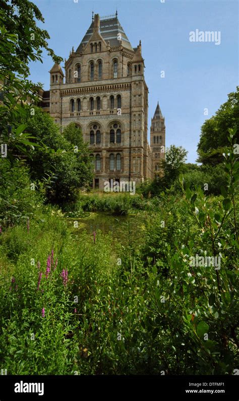Natural History Museum Garden London Hi Res Stock Photography And
