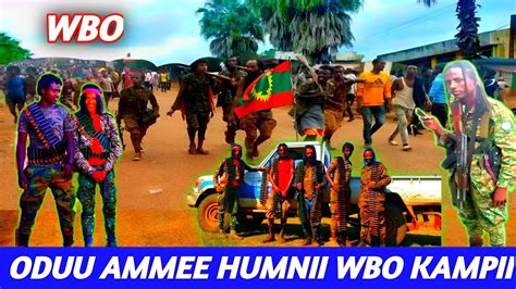 Oduu Gamachisaa Kampii Humnaa Motumma Gurgudon Waranaa Bilisumaa Oromo