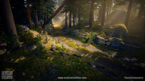 Nordic Forest Ue4 — Polycount